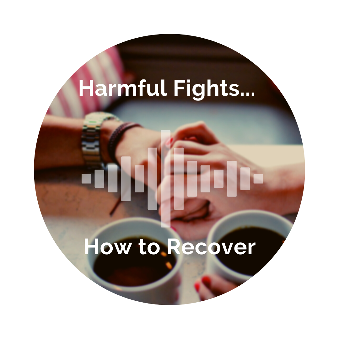 Delight Your Marriage - Harmful Fights (& How to Recover)