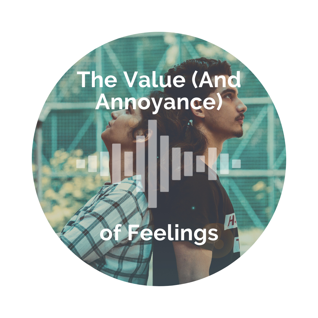 Delight Your Marriage - The Value (And Annoyance) of Feelings