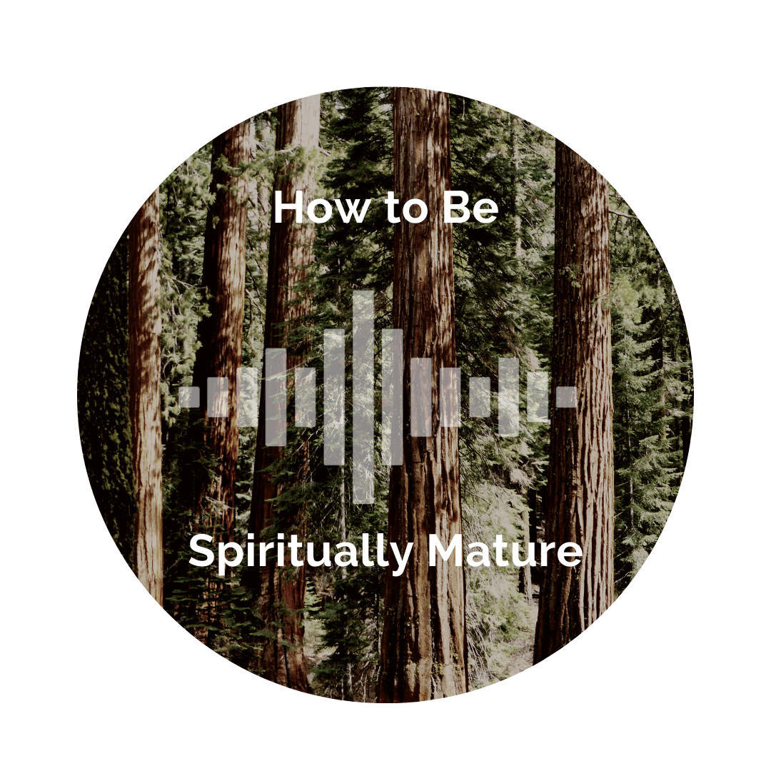 Delight Your Marriage - How to Be Spiritually Mature