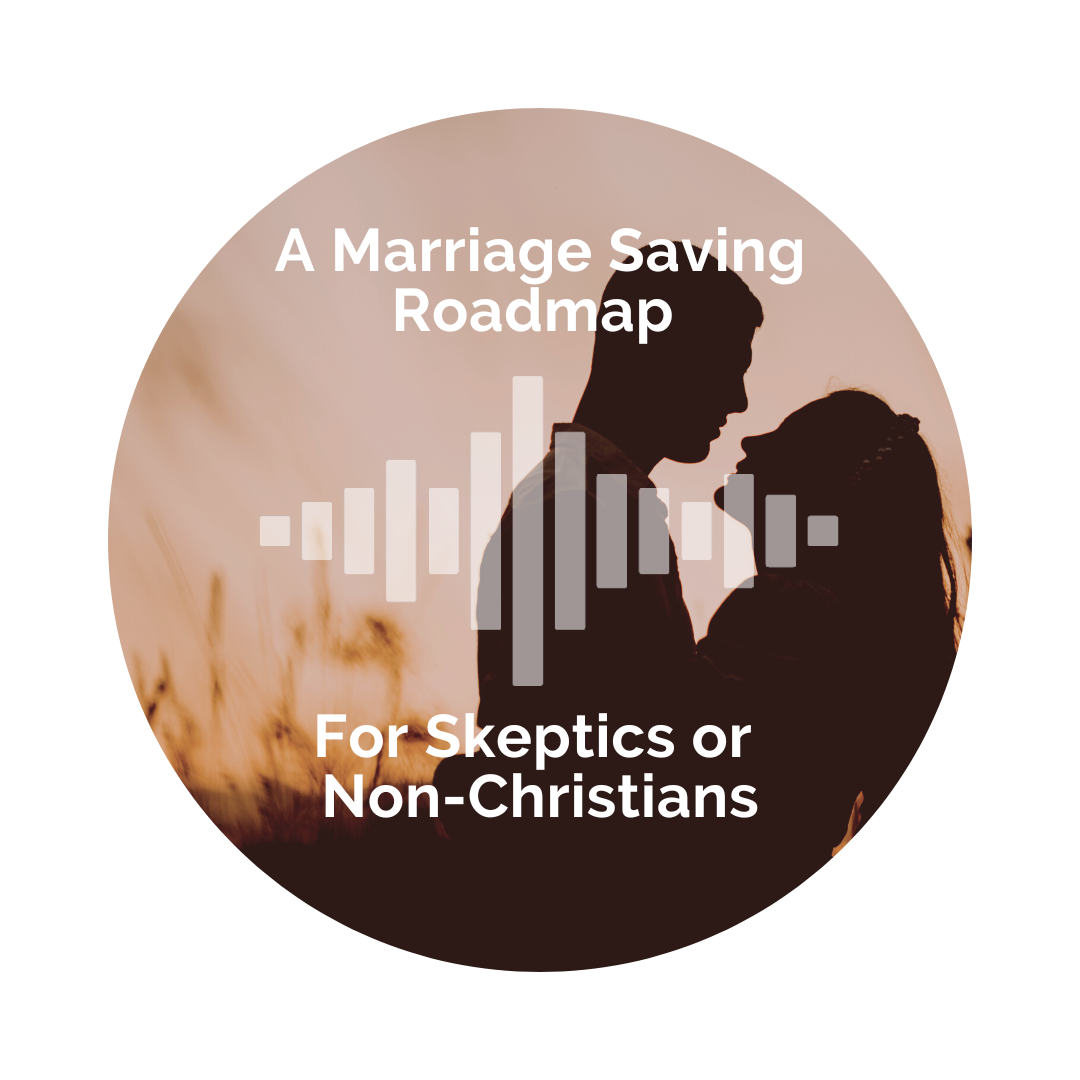 Delight Your Marriage - A Marriage Saving Roadmap for Skeptics or Non-Christians