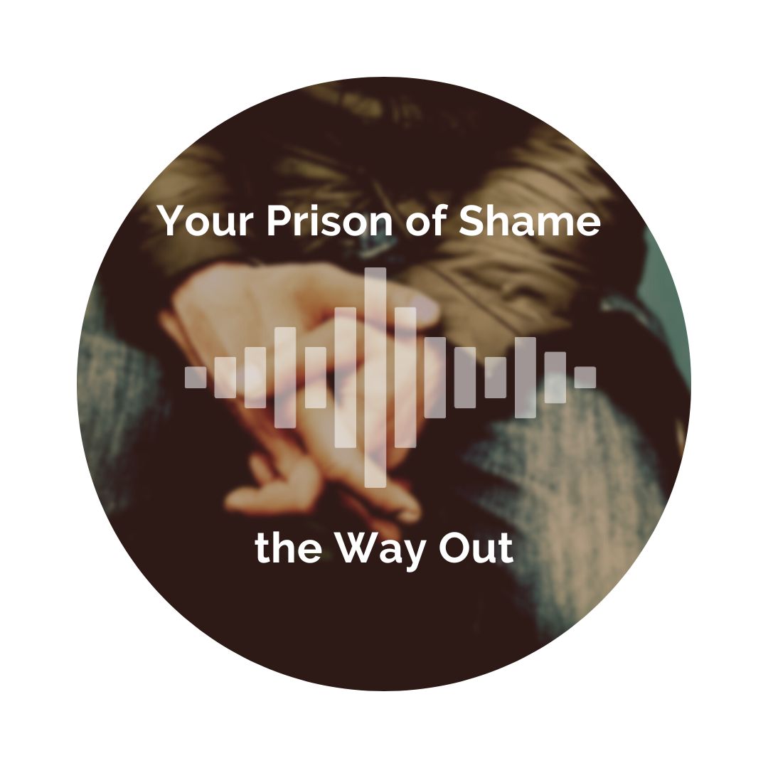 Delight Your Marriage - Your Prison of Shame--the Way Out