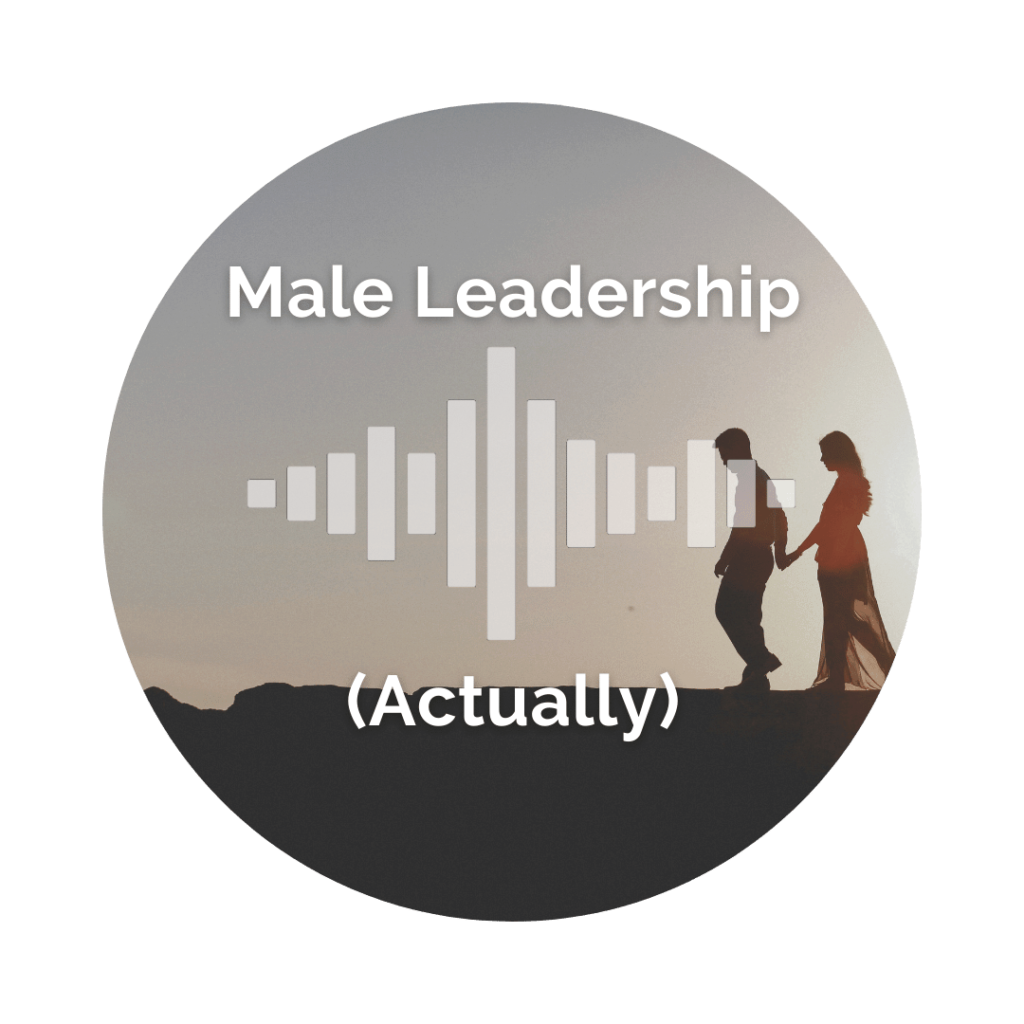 Delight Your Marriage - Male Leadership